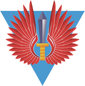 50°StormoAssalto-patch