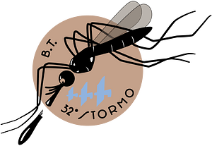 Ensign of the 32º Stormo B.T. of the Italian Air Force