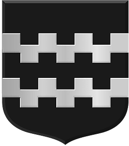 Nederslingerland wapen