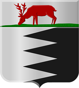 Bruinisse wapen