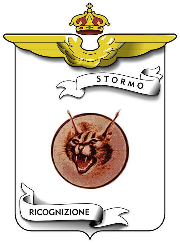 Ensign of the 19º Stormo of the Italian Air Force