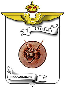 Ensign of the 19º Stormo of the Italian Air Force