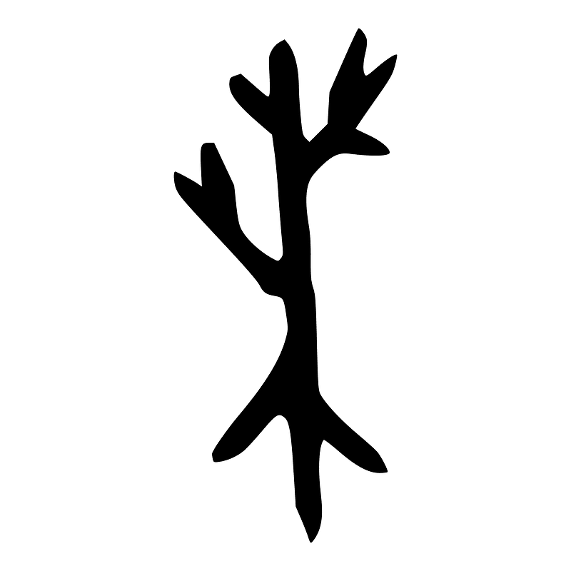 桑-oracle