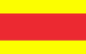 POL Dębno flag ogólna