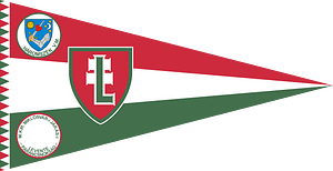 Pennant of the Levente Headquarters of Miklósvár District