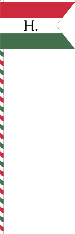 Flag of the Command of a Division of the Hungarian National Army (1919, with staff)
