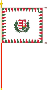 Infantry Colour of the Hungarian Defence Forces (1949, with staff)