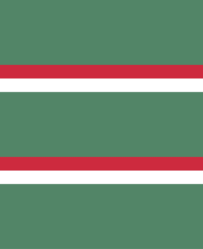 Flag of the Command of an Independent Infantry Battalion of the Royal Hungarian Defence Forces (1928)