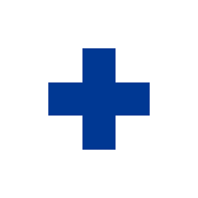 Flag of the veterinary field hospitals of the Royal Hungarian Defence Forces (1939)