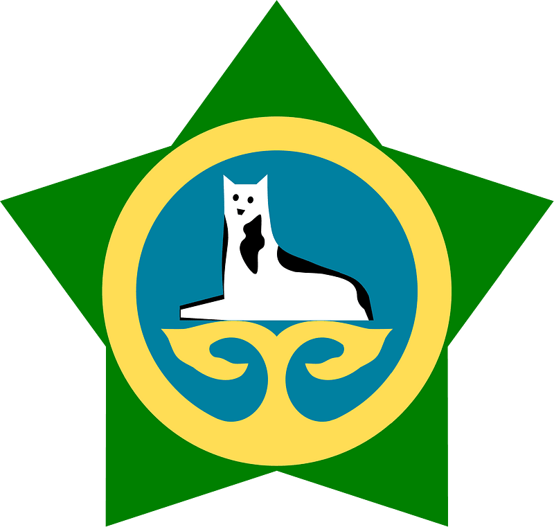 Military aircraft insignia of the Chechen Republic of Ichkeria