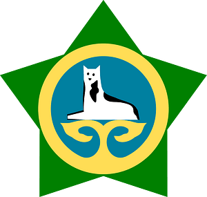Military aircraft insignia of the Chechen Republic of Ichkeria