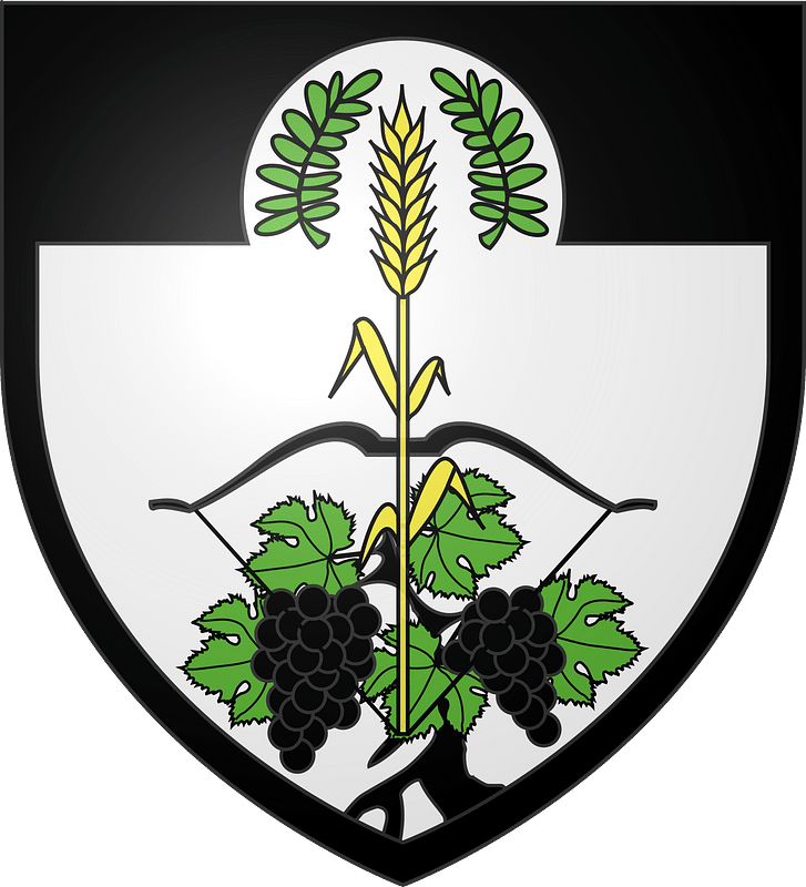 Blason cormeray41