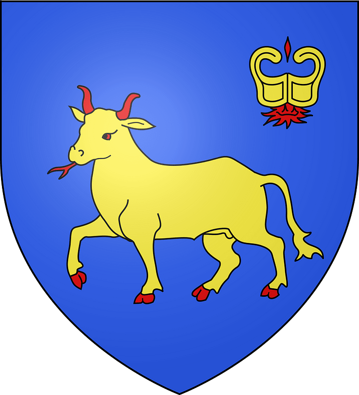 Blason couffy41
