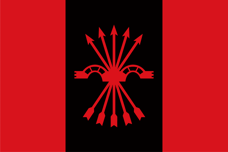 Bandera FE JONS