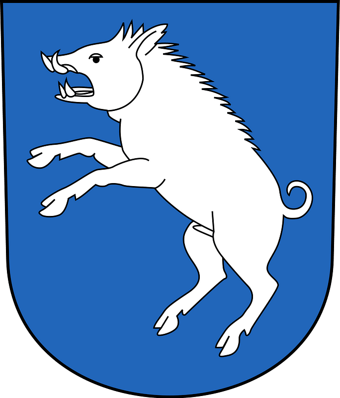 Berg am irchel-blazon