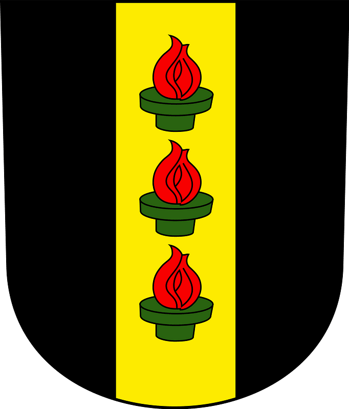 Wetzikon-blazon