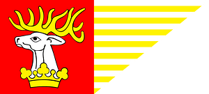 POL powiat lubelski flag