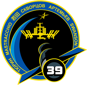 ISS Expedition 39 Patch