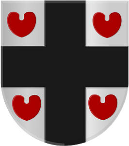 Nes (Heerenveen) wapen