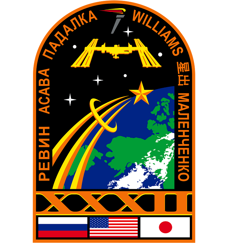 ISS Expedition 32 Patch