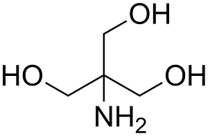 2-amino-2-(hydroxymethyl)propane-1,3-diol 200