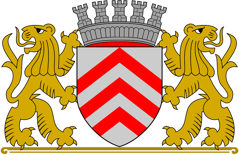 Wapen van Lier (vlak)