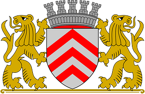 Wapen van Lier (vlak)