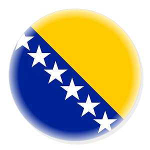 Bosnia and Herzegovina roundel