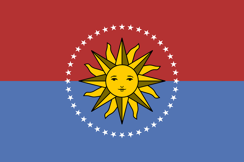 Flag of San José Department