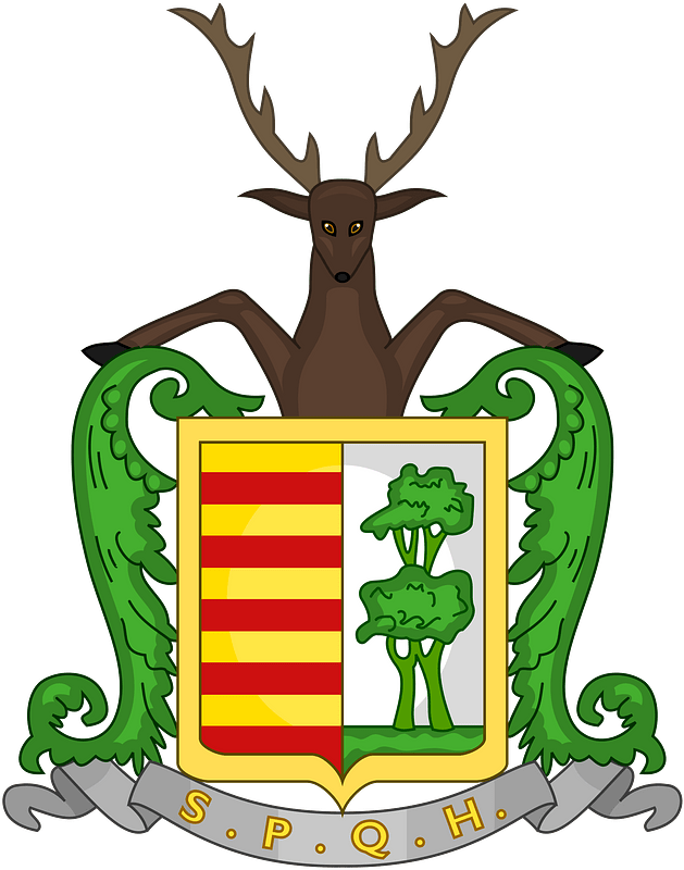 Wapen van Hasselt (B)