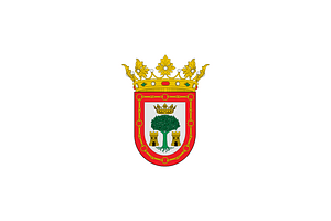 Bandera de Olite