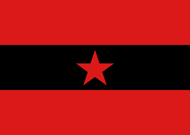 Fin flash of Albania