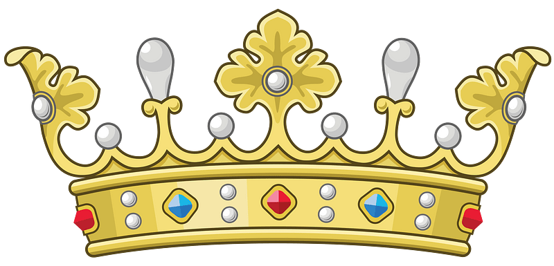 T04 Danish Count