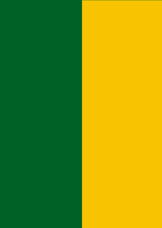 Fin flash of Brazil