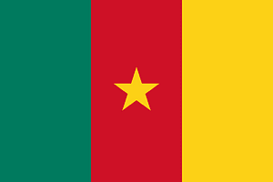 Flag of Cameroon
