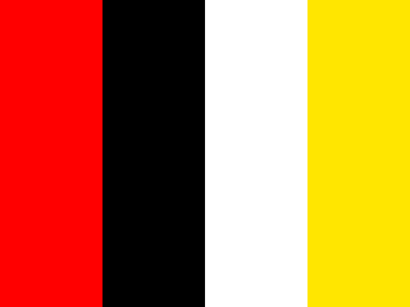 Fin flash of Brunei