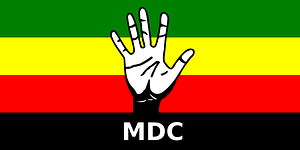 Flag of the Movement for Democratic Change