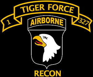 US 101st Airborne Division Tiger Force patch