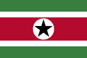 Flag of Suriname (proposal 3)