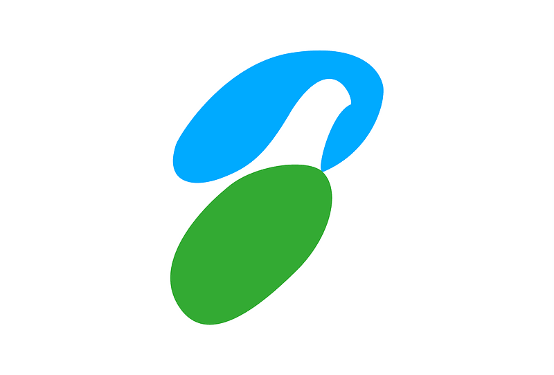 Flag of Akigawa Tokyo