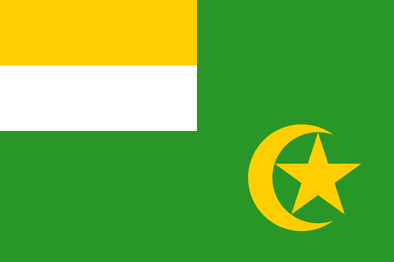 Flag of the Central African Republic (1976 proposal)