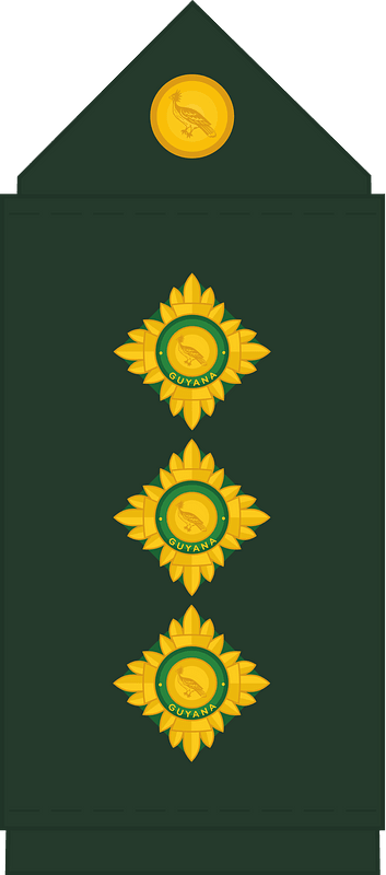 Guyana Defence Force (GDF) Captain rank insignia
