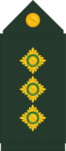 Guyana Defence Force (GDF) Captain rank insignia