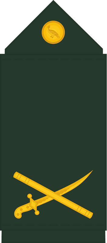 Guyana Defence Force (GDF) Brigadier General rank insignia