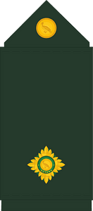 Guyana Defence Force (GDF) 2nd Lieutenant rank insignia