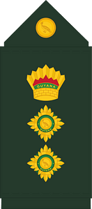 Guyana Defence Force (GDF) Colonel rank insignia