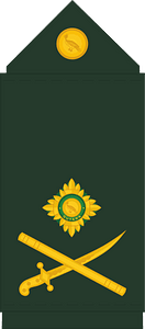 Guyana Defence Force (GDF) Major General rank insignia
