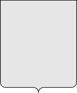 Modern French shield