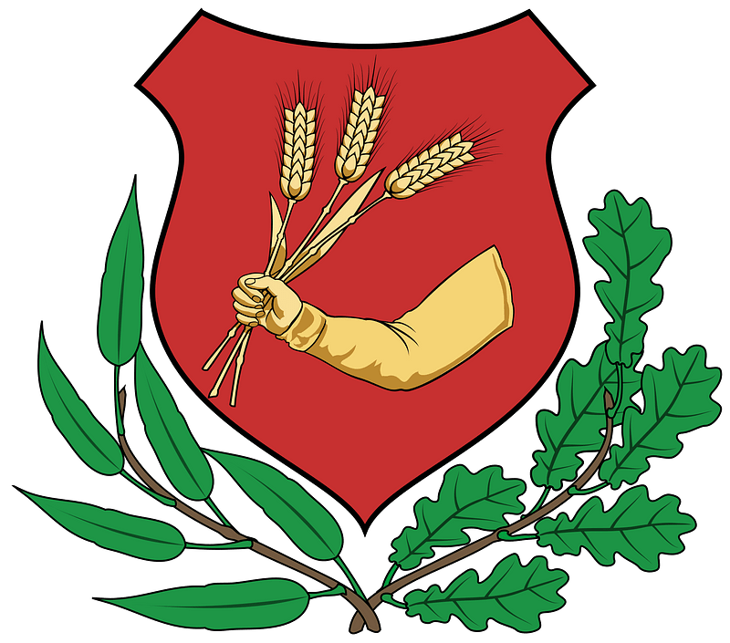 Coa Hungary Town Abony big