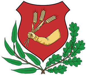 Coa Hungary Town Abony big